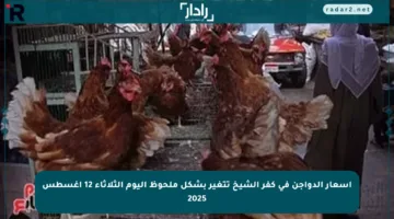 أسعار الدواجن في كفر الشيخ تتغير بشكل ملحوظ اليوم الثلاثاء 12 أغسطس 2025